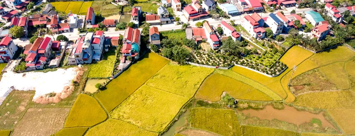 Aerial view of a small settlement of houses at the edge of open farmland