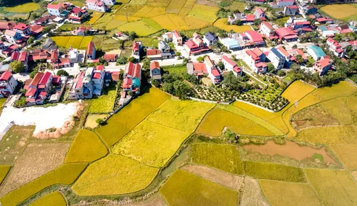 Aerial view of a small settlement of houses at the edge of open farmland