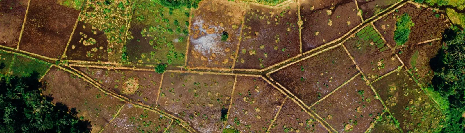 Aerial view of open land divided into irregular plots by cleared boundary tracks