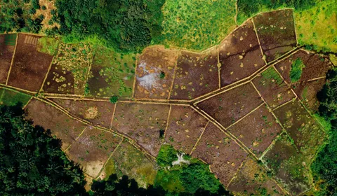 Aerial view of open land divided into irregular plots by cleared boundary tracks