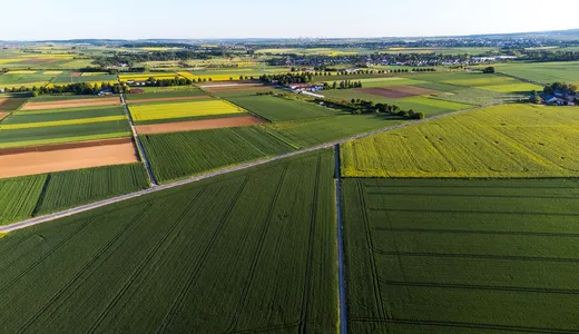 Aerial view of farmland divided into a grid of rectangular parcels