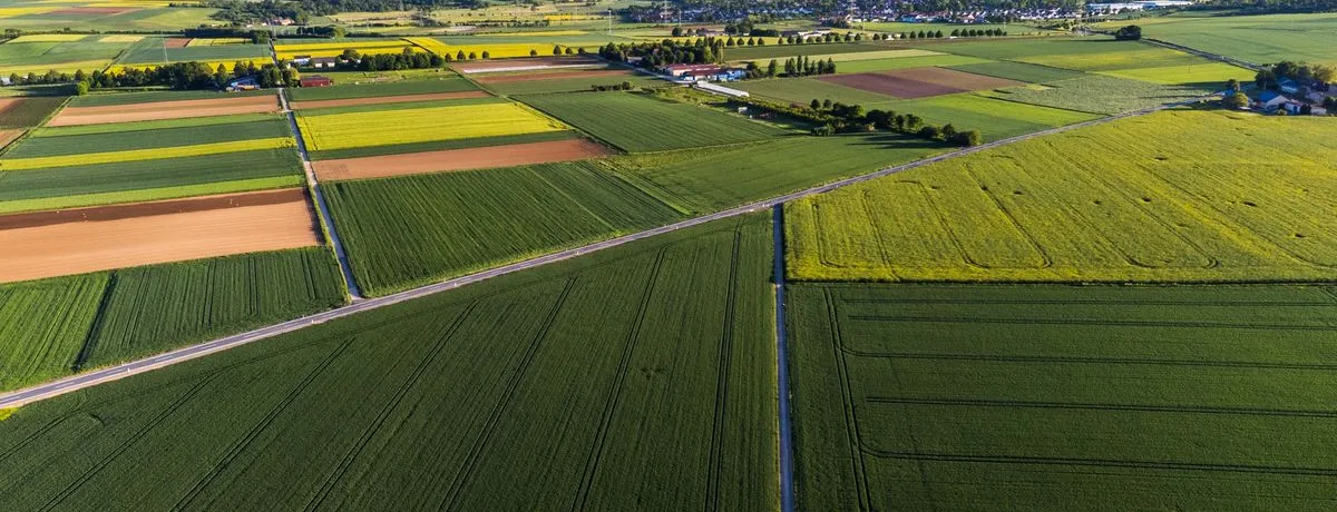 Aerial view of farmland divided into a grid of rectangular parcels