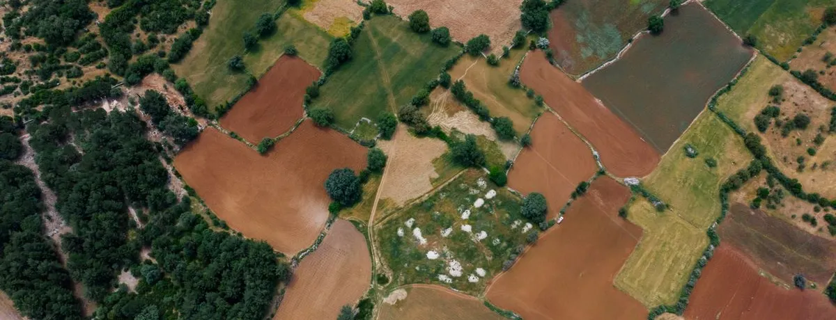 Aerial view of a patchwork of fields and tree lines crossed by a narrow road