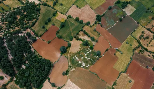 Aerial view of a patchwork of fields and tree lines crossed by a narrow road