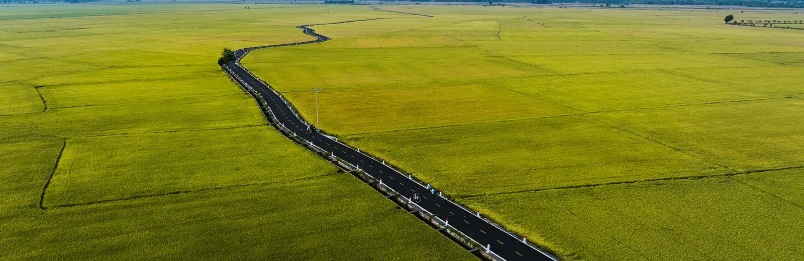 A single asphalt road running dead straight through flat green fields, seen from the air