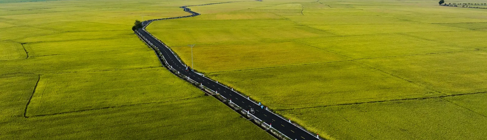 A single asphalt road running dead straight through flat green fields, seen from the air