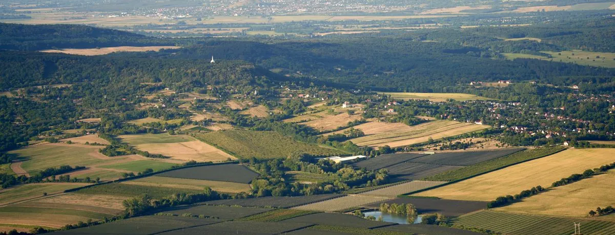 Wide aerial view of a flat valley floor divided into cultivated fields